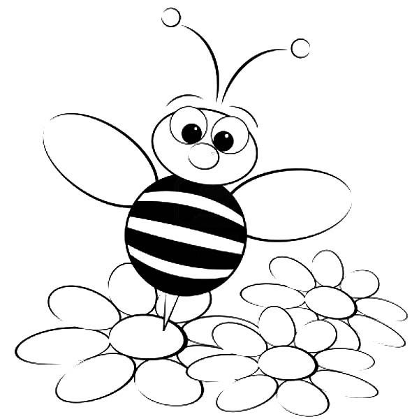 Coloring Pages Bumblebee Insect