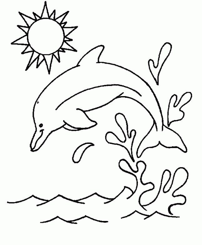 coloring pages dolphin jumping out of the water
