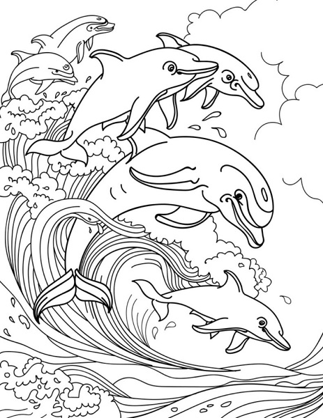 Coloring Pages Dolphins