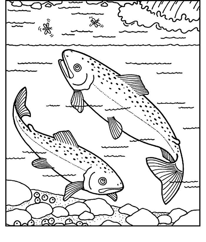 coloring pages fish fresh water