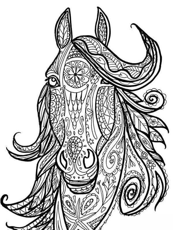 coloring pages for adult horse