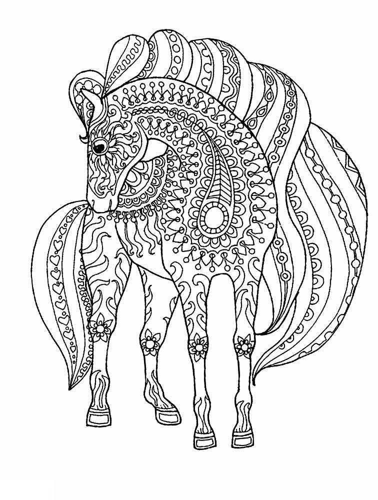coloring pages for adults horse