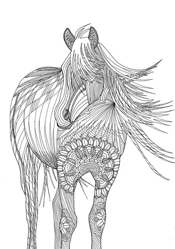 coloring pages for adults of a horse