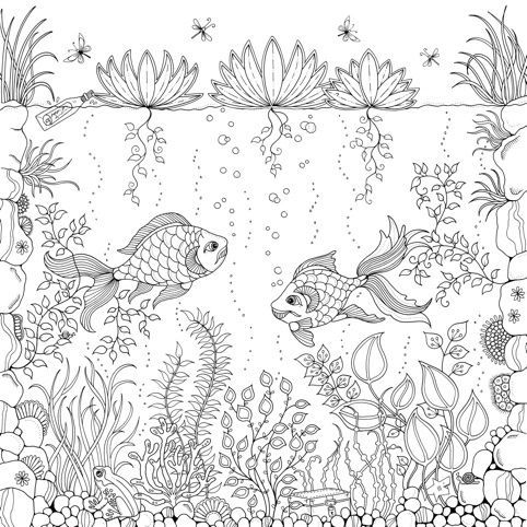 coloring pages for adults water garden