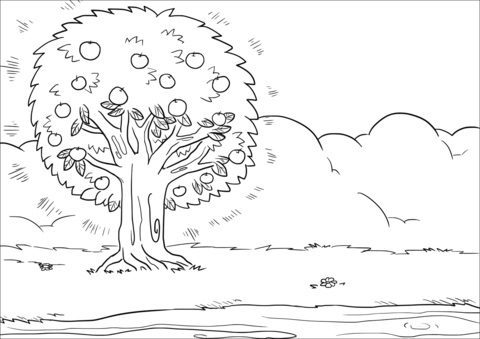 coloring pages for elim trees and springs of water