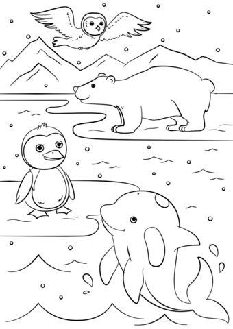 coloring pages for preschoolers winter animals