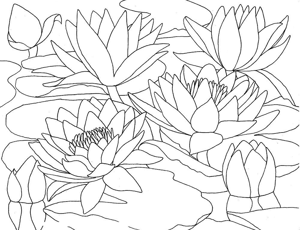 coloring pages for water color