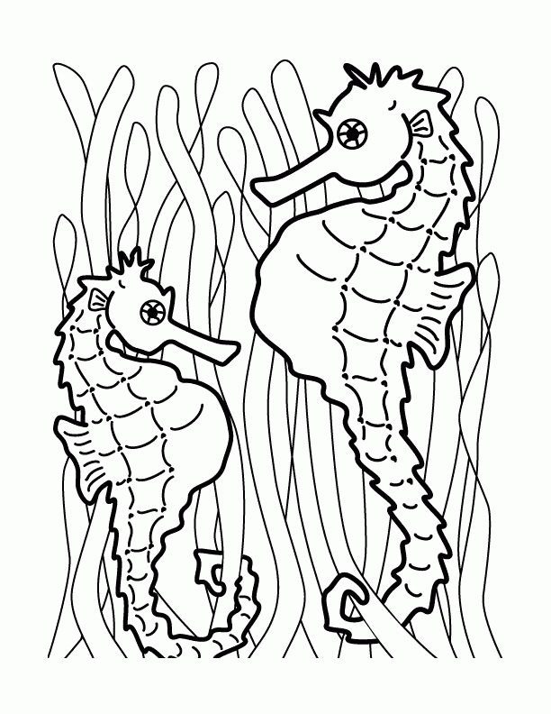 coloring pages hard horse sea