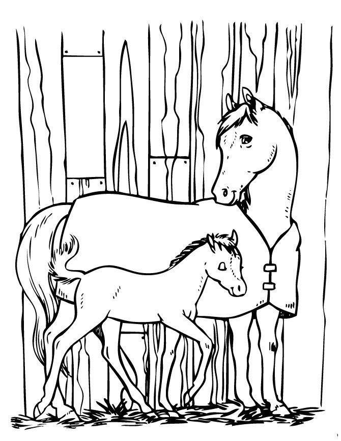 coloring pages horse and pony