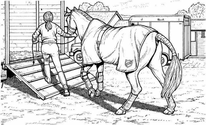 coloring pages horse and trailer