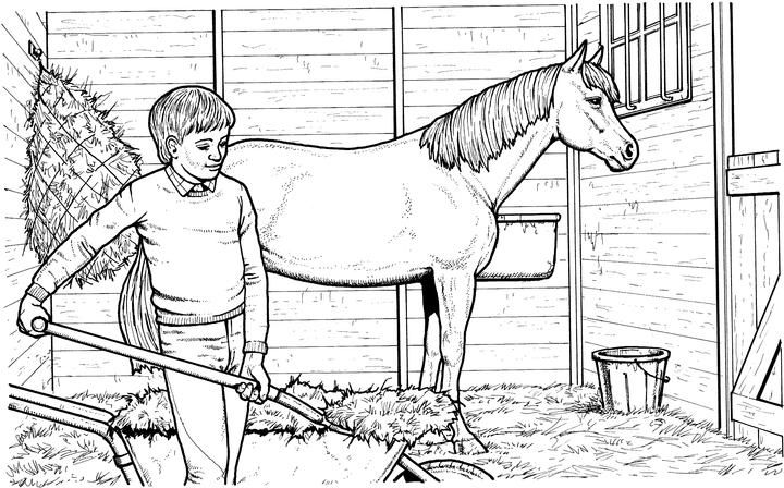 coloring pages horse farm realistic