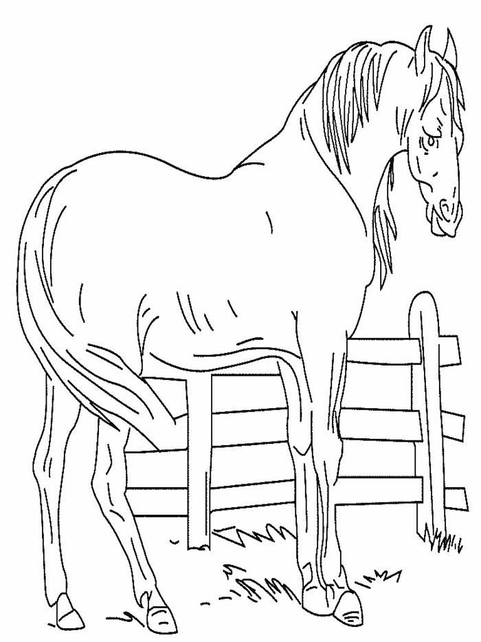 coloring pages horse fence