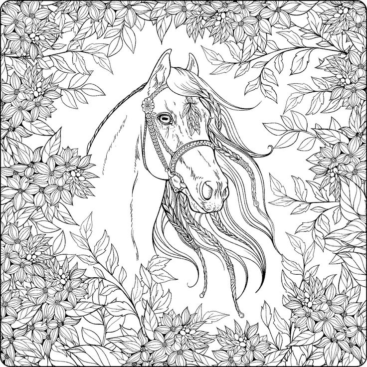 coloring pages horse in a field with flowers