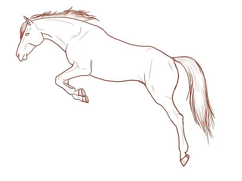 coloring pages horse jumping to sky