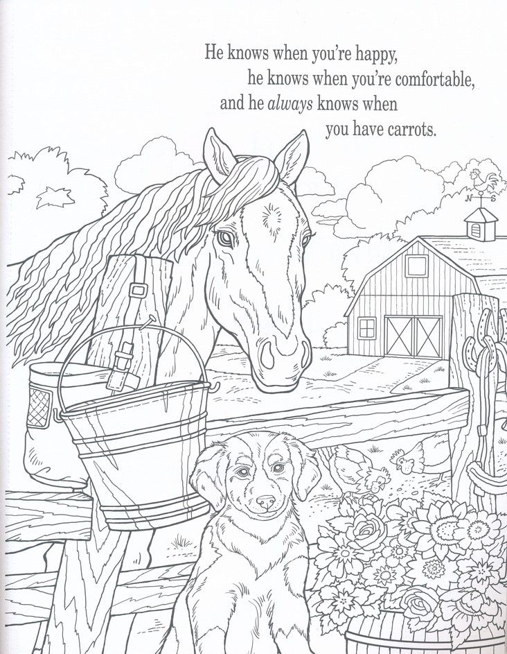 coloring pages horse quotes
