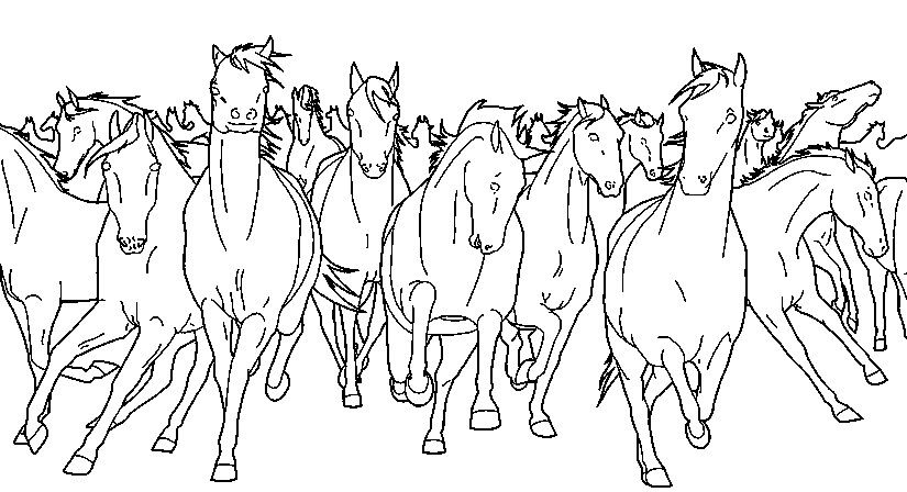 coloring pages horse wild