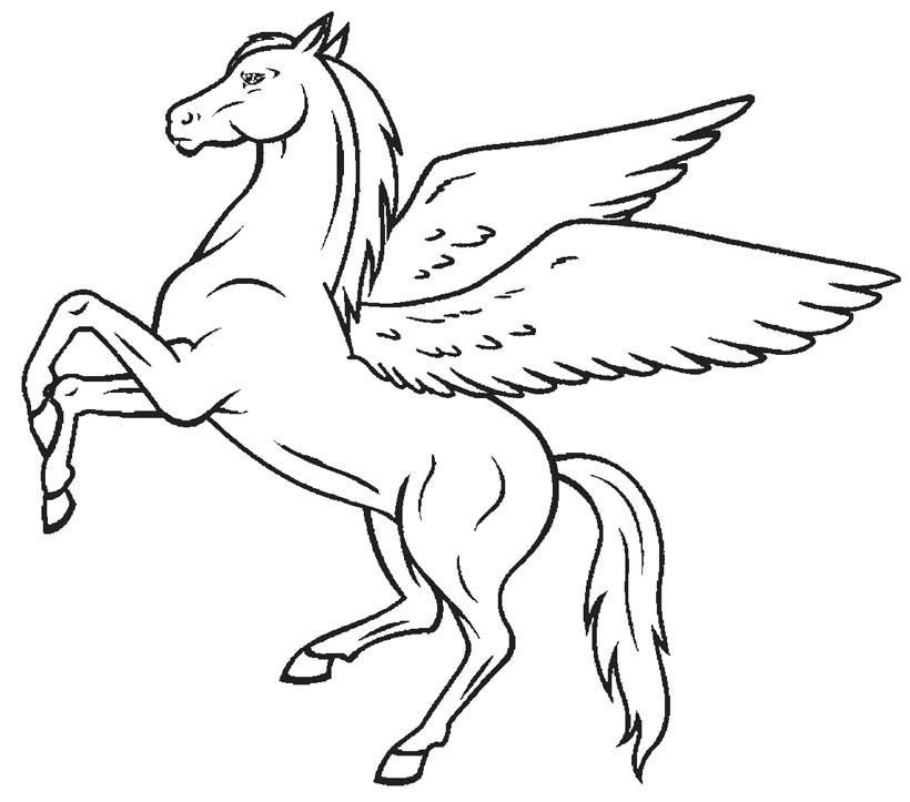 coloring pages horse with wings