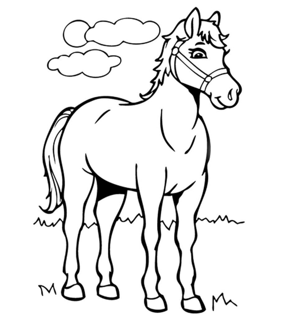 coloring pages horse