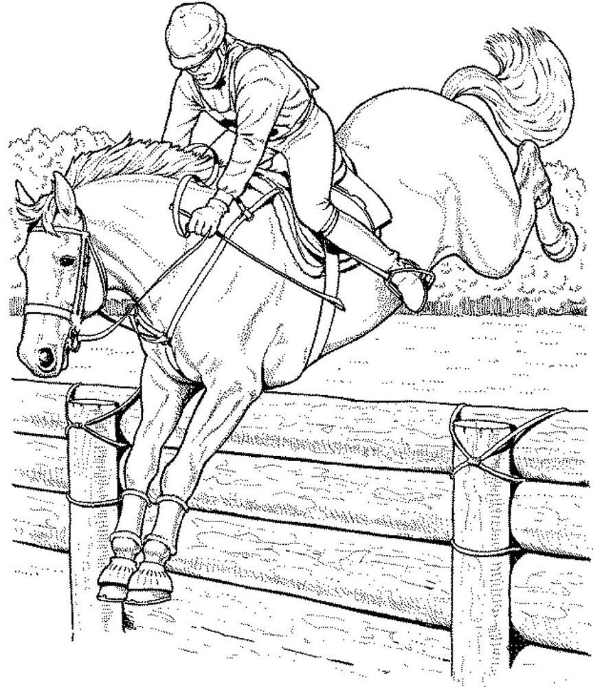 coloring pages jump horse realilistic