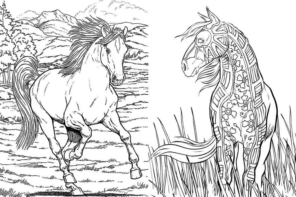coloring pages of a horse detailed