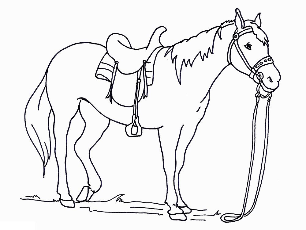 coloring pages of a horse