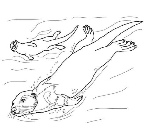 coloring pages of a sea otter jumping into the water