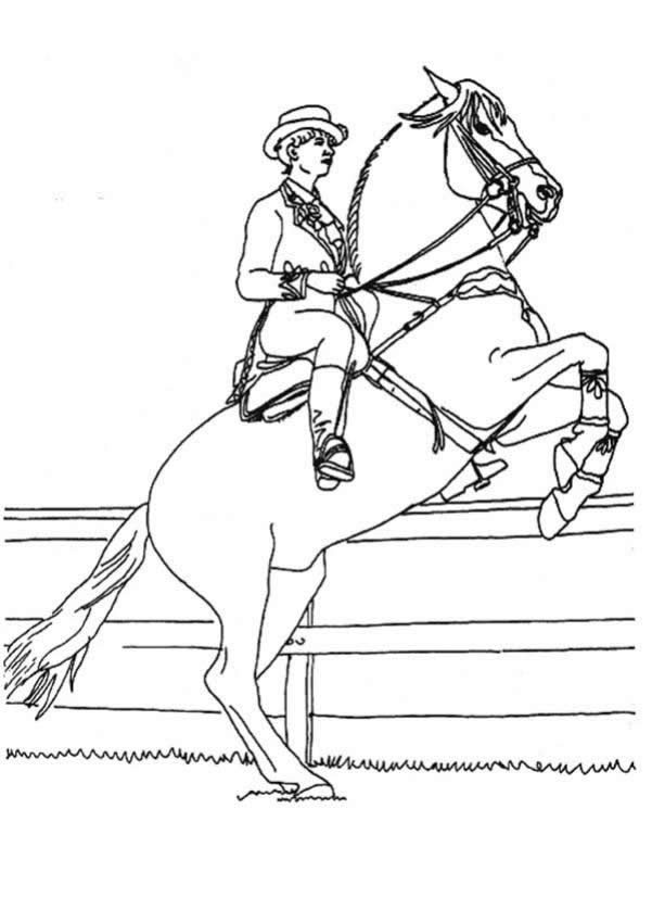 coloring pages of an english horse