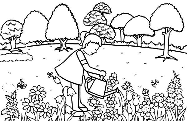 coloring pages of different ways to water plants