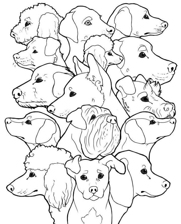 coloring pages of dogs