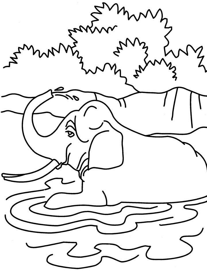 coloring pages of elephant in water