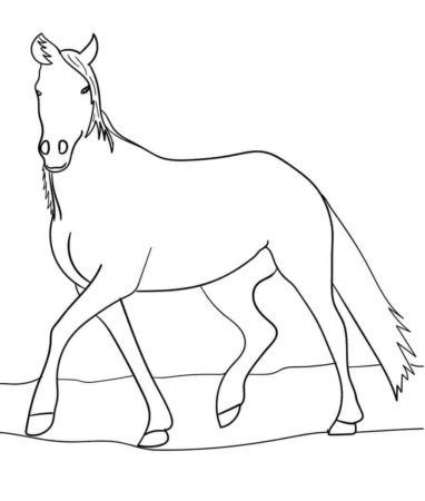 coloring pages of horse