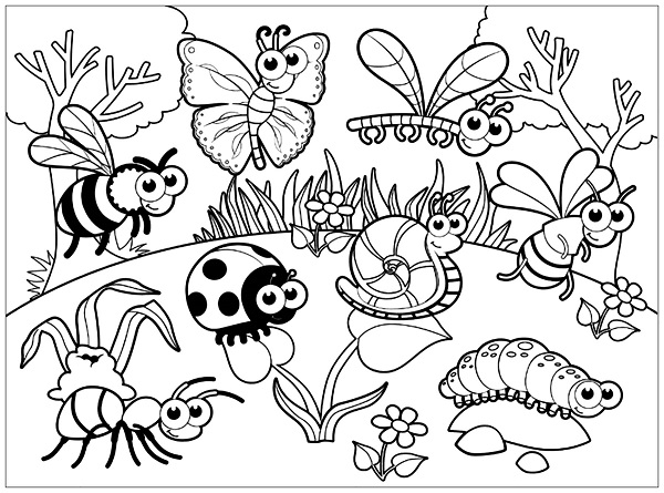 Coloring Pages of Insects