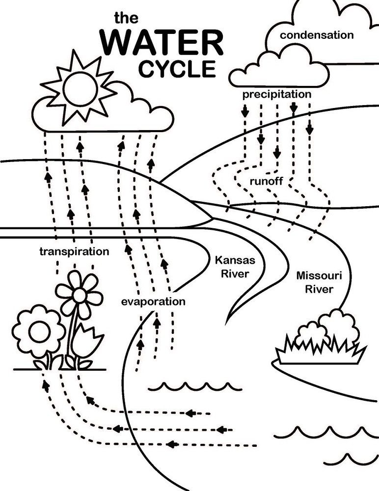 coloring pages of the water cycle