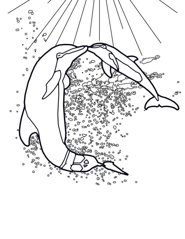 coloring pages of winter and hope that are dolphins