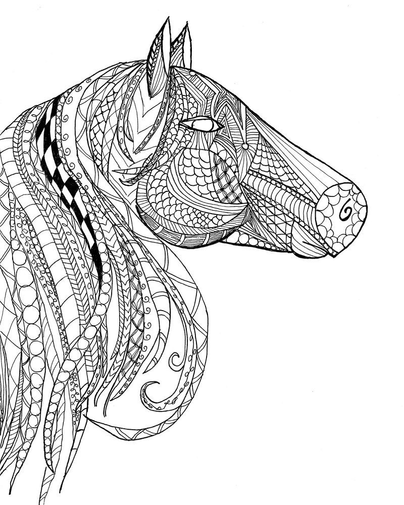Coloring Pages ofa Horse Detailed