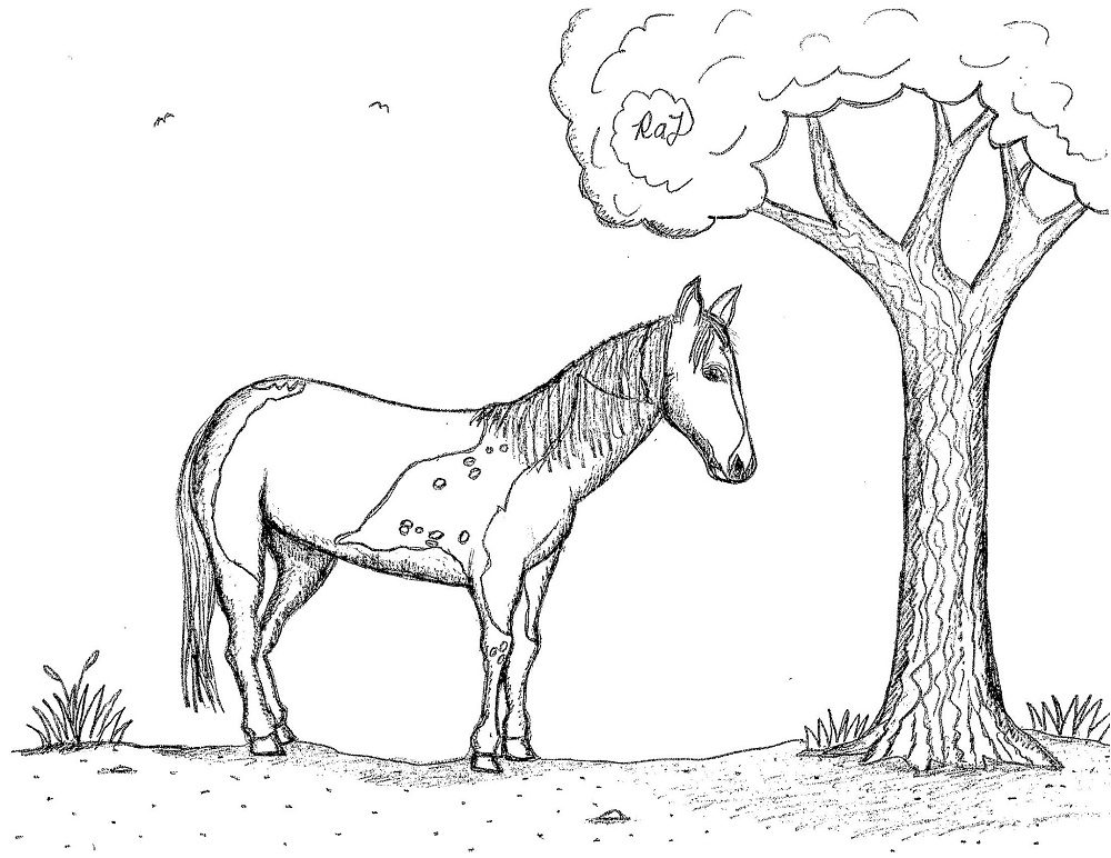 coloring pages printable horse