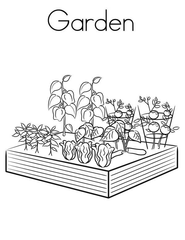 Coloring Pages Vegetable Garden