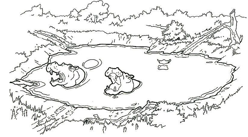 coloring pages water holes