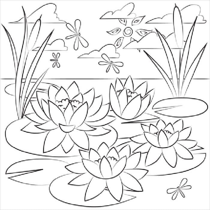 coloring pages water lilies