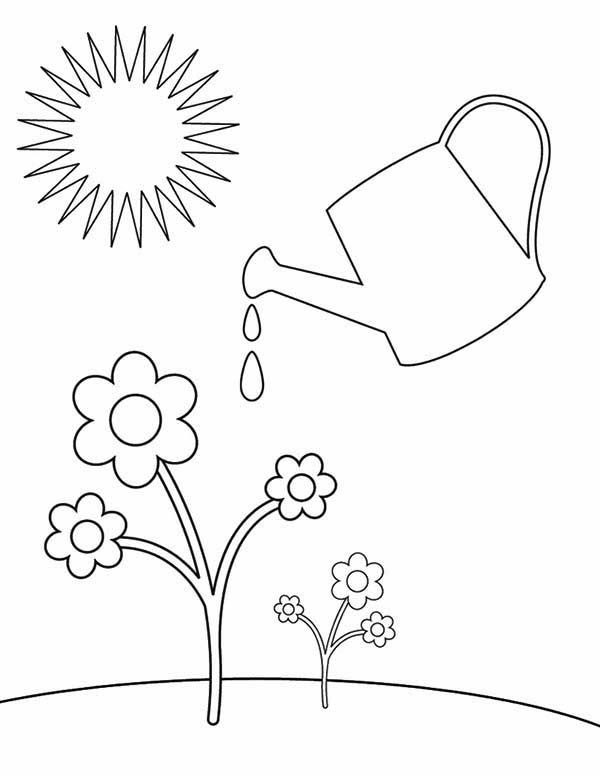 coloring pages water plants