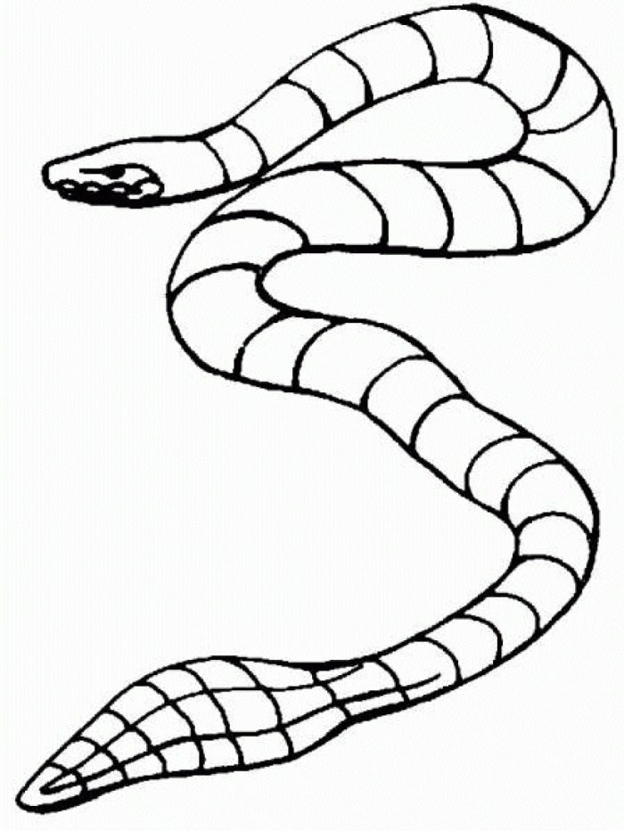 coloring pages water snake