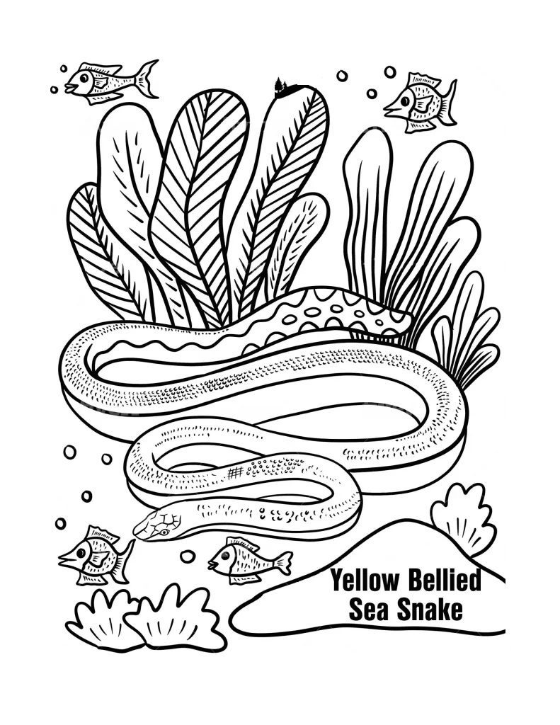 coloring pages water snakes and fish