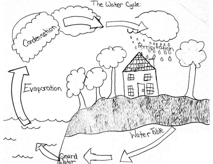 coloring pages worksheets kids water cycle
