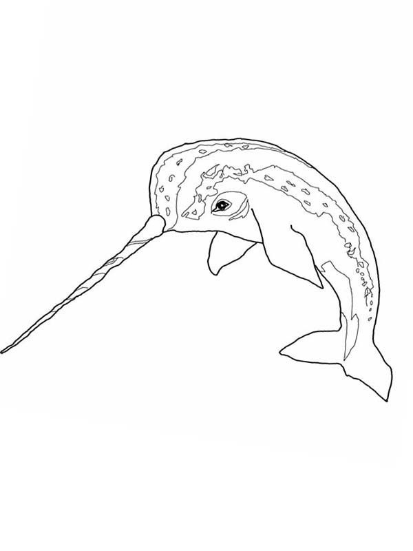 coloring pages-zombie narwhal