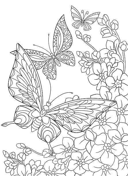 coloring sheet butterfly and flower coloring pages