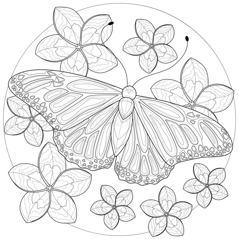 coloring sheet butterfly and flower coloring pages