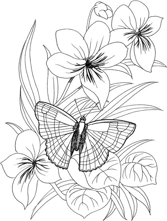 cool flower coloring pages for adults