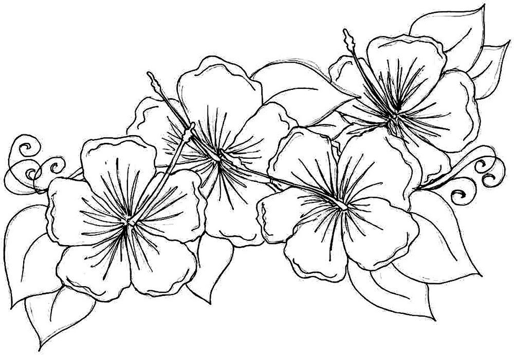 cool flower coloring pages