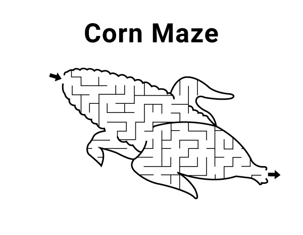 Corn Maze Coloring Page