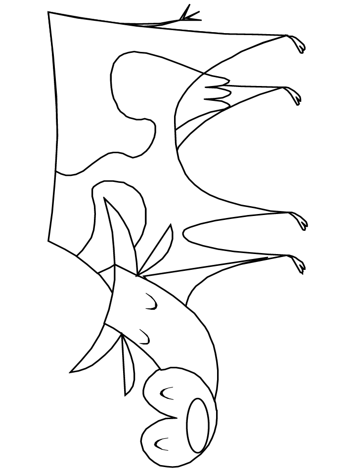 Cow7 Animals Coloring Pages